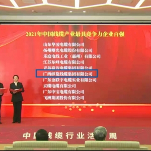 喜報！縱覽線纜集團(tuán)榮膺 “中國線纜產(chǎn)業(yè)最具競爭力企業(yè)100強(qiáng)” ...