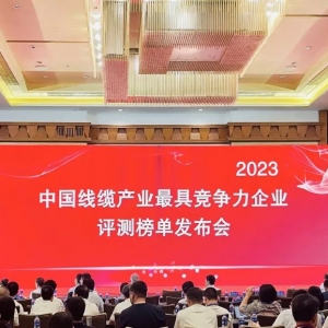 中國線纜產(chǎn)業(yè)最具競爭力企業(yè)100強發(fā)布：縱覽線纜連續(xù)五年上榜！