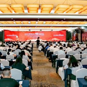 再傳喜訊！縱覽線纜集團成為廣西線纜行業(yè)唯一上榜廣西民營企業(yè)100強、廣西民營企業(yè)制造業(yè)100強企業(yè)